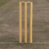 ELDERS CLUB WOODEN CRICKET STUMPS 1